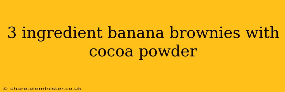 3 ingredient banana brownies with cocoa powder
