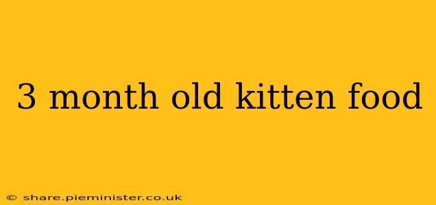 3 month old kitten food