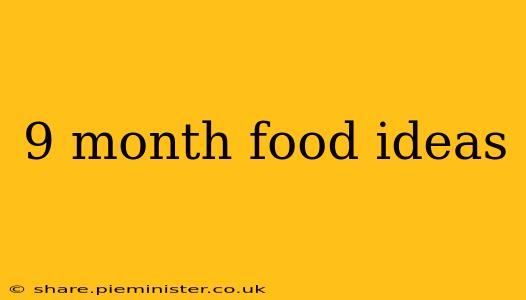 9 month food ideas