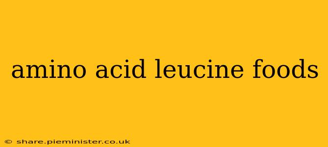 amino acid leucine foods