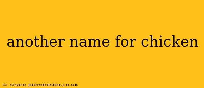 another name for chicken