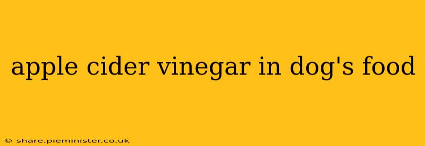apple cider vinegar in dog's food