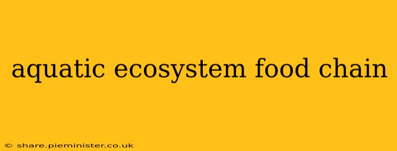 aquatic ecosystem food chain