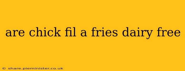 are chick fil a fries dairy free
