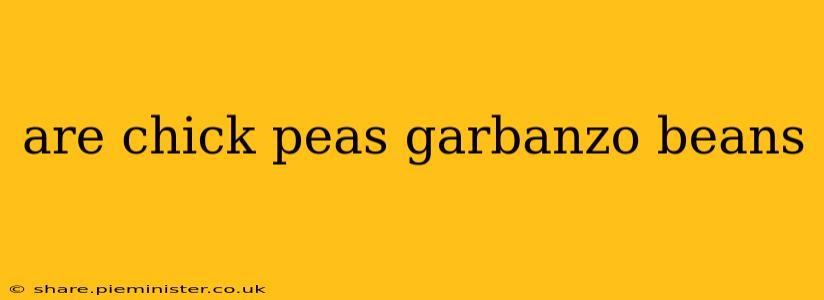 are chick peas garbanzo beans