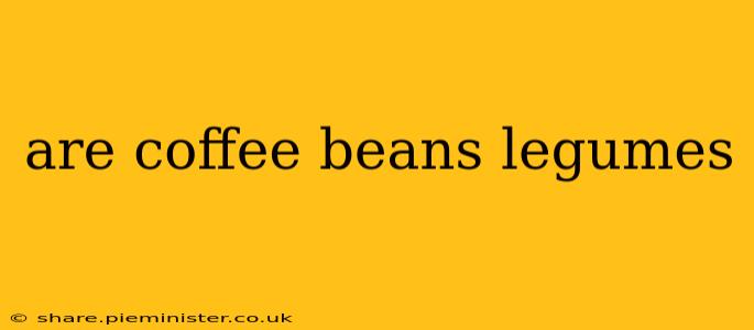 are coffee beans legumes
