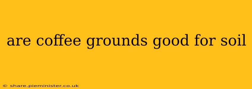are coffee grounds good for soil