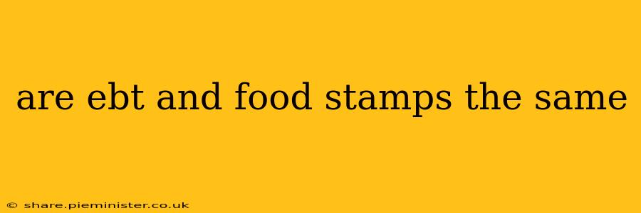 are ebt and food stamps the same