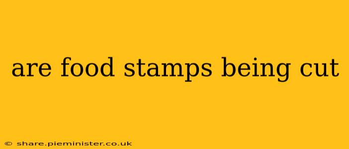 are food stamps being cut