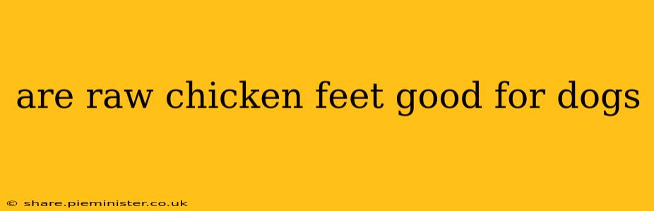 are raw chicken feet good for dogs