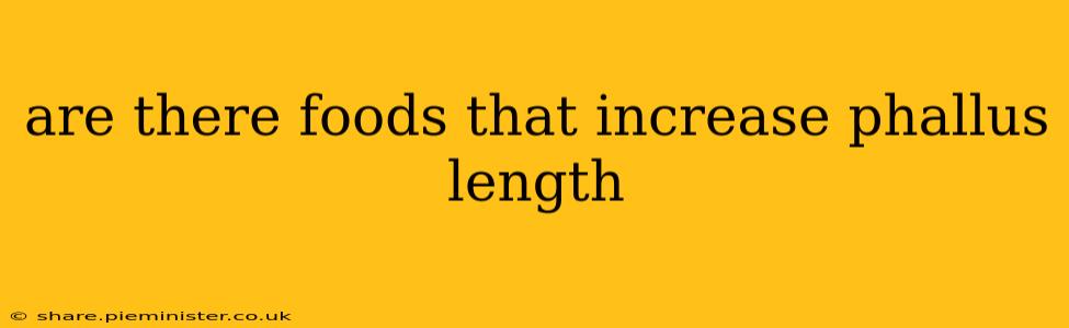 are there foods that increase phallus length