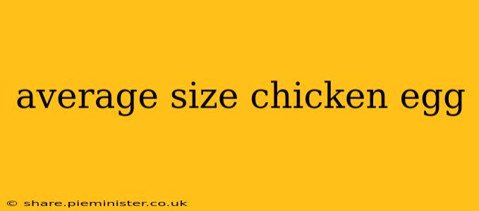 average size chicken egg
