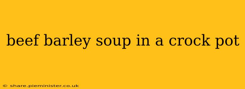 beef barley soup in a crock pot