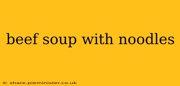 beef soup with noodles