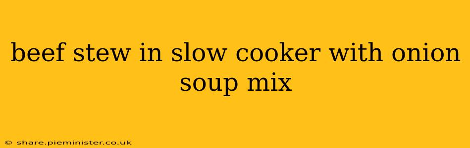 beef stew in slow cooker with onion soup mix