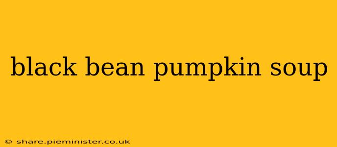 black bean pumpkin soup