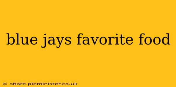 blue jays favorite food