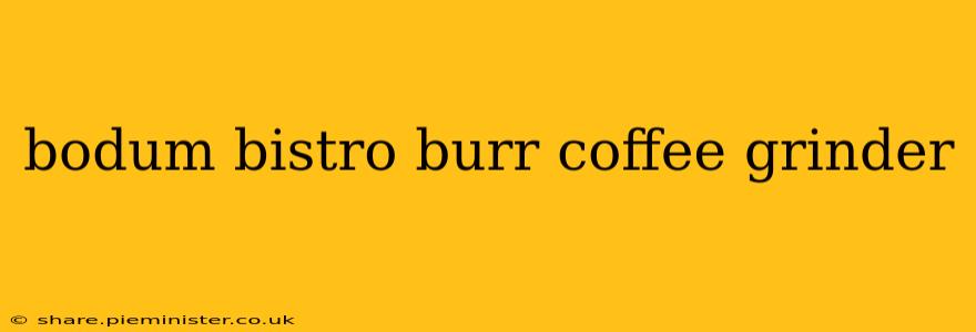 bodum bistro burr coffee grinder