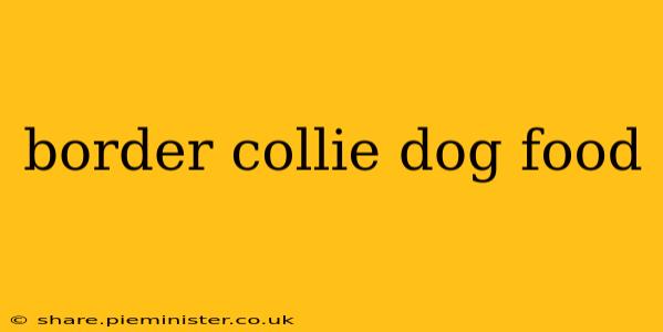 border collie dog food