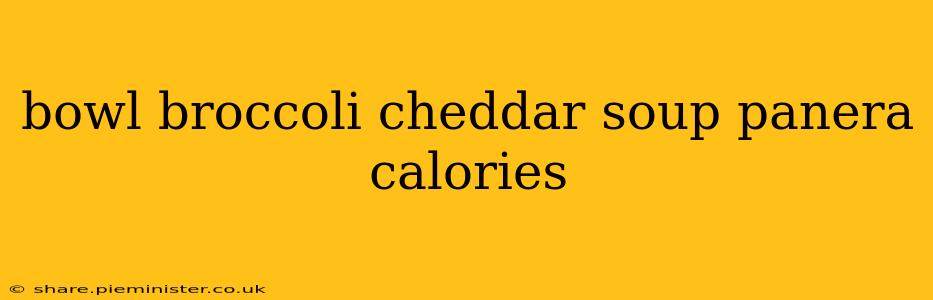 bowl broccoli cheddar soup panera calories