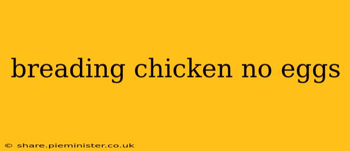 breading chicken no eggs