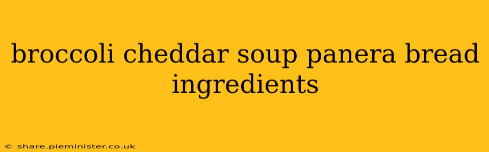 broccoli cheddar soup panera bread ingredients