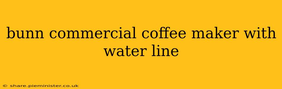bunn commercial coffee maker with water line