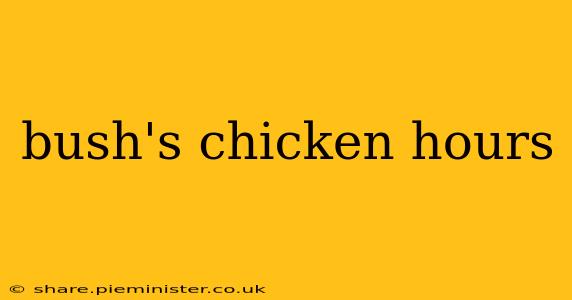 bush's chicken hours