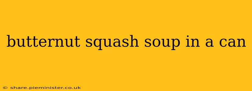 butternut squash soup in a can