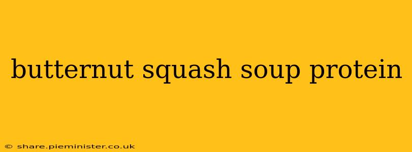 butternut squash soup protein