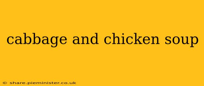 cabbage and chicken soup