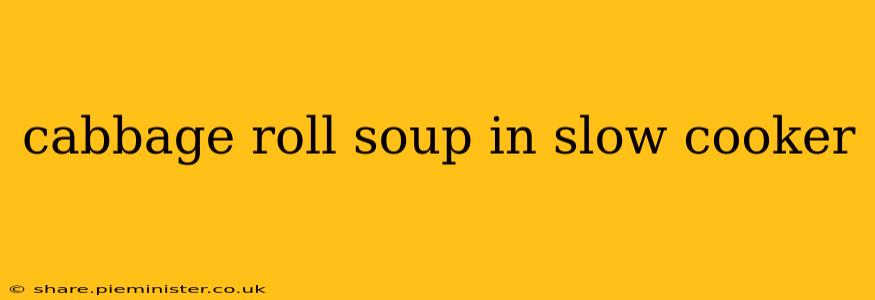 cabbage roll soup in slow cooker