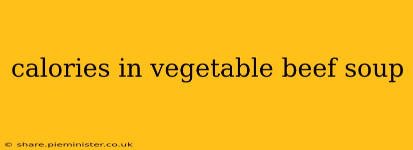 calories in vegetable beef soup