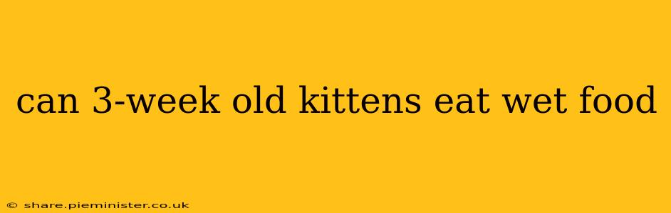 can 3-week old kittens eat wet food