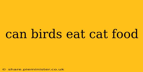 can birds eat cat food