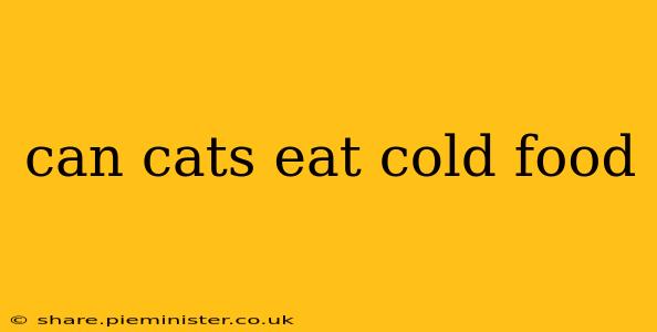 can cats eat cold food