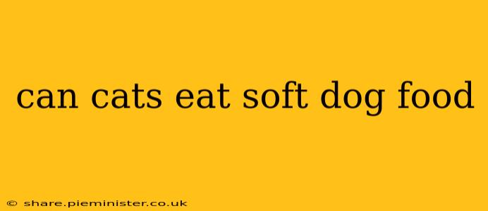 can cats eat soft dog food