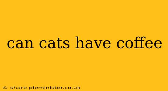 can cats have coffee