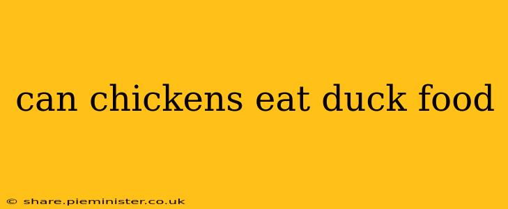 can chickens eat duck food