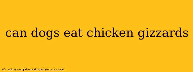 can dogs eat chicken gizzards