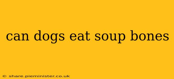 can dogs eat soup bones