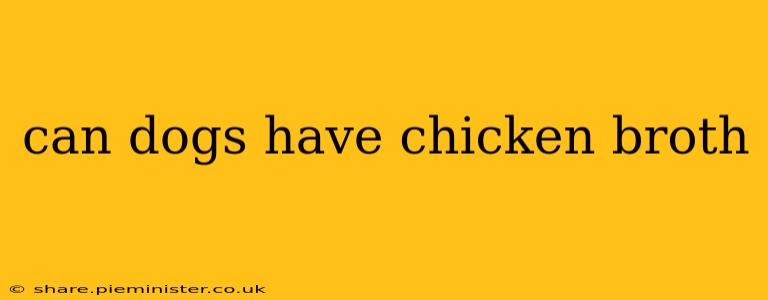 can dogs have chicken broth