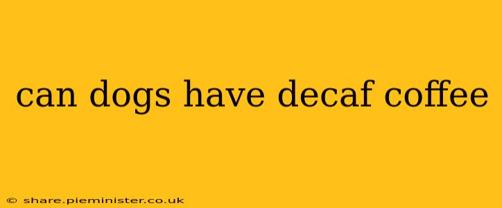 can dogs have decaf coffee