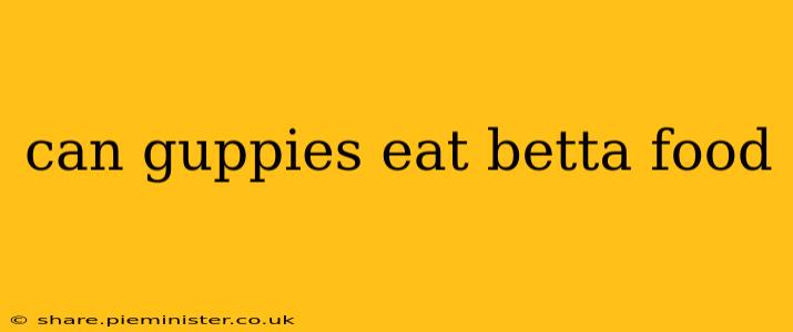 can guppies eat betta food