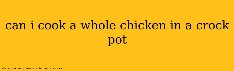 can i cook a whole chicken in a crock pot