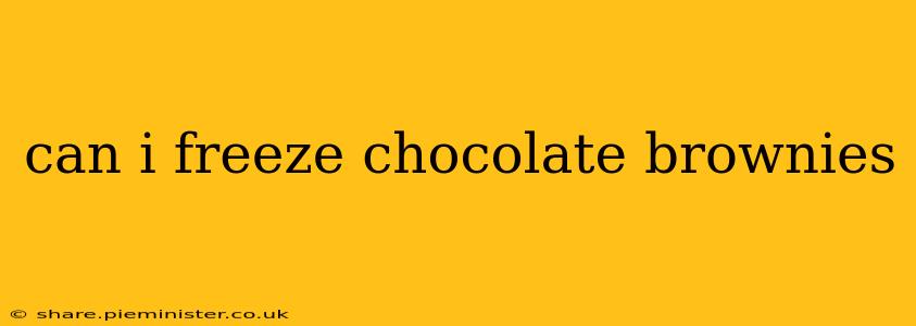 can i freeze chocolate brownies