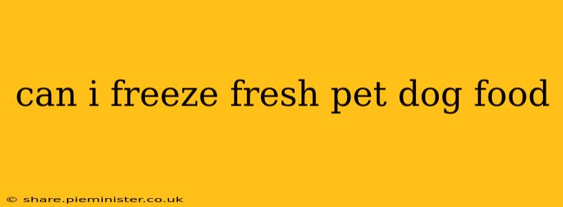 can i freeze fresh pet dog food