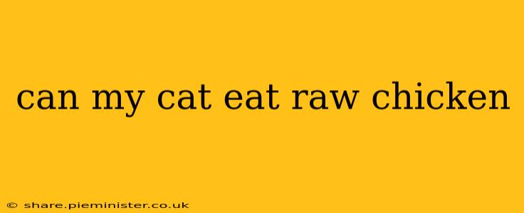 can my cat eat raw chicken