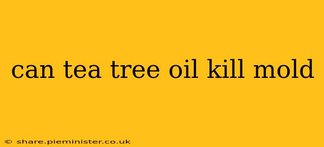 can tea tree oil kill mold