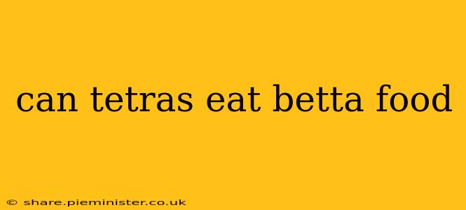 can tetras eat betta food
